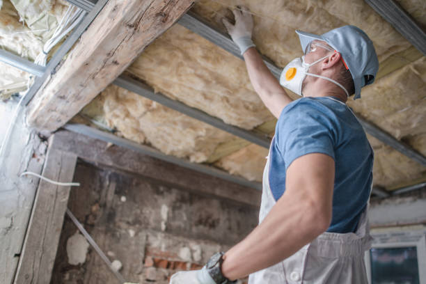 Best Residential Insulation in Eureka, CA