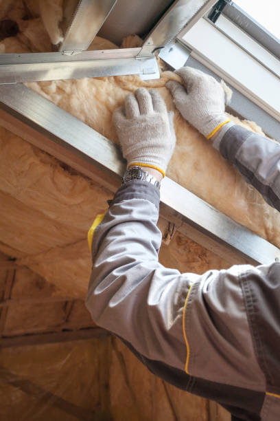 Best Geographic-Specific Insulation Services in Eureka, CA