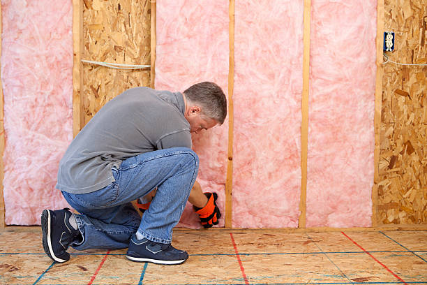 Best Specialized Insulation Services in Eureka, CA
