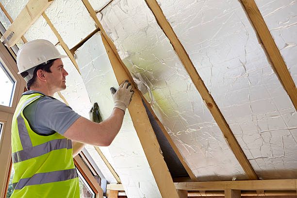 Best Eco-Friendly Insulation in Eureka, CA