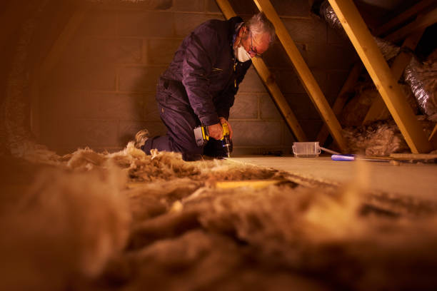 Types of Insulation We Offer in Eureka, CA